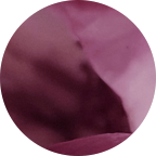 ESYM - Sample thumbnail