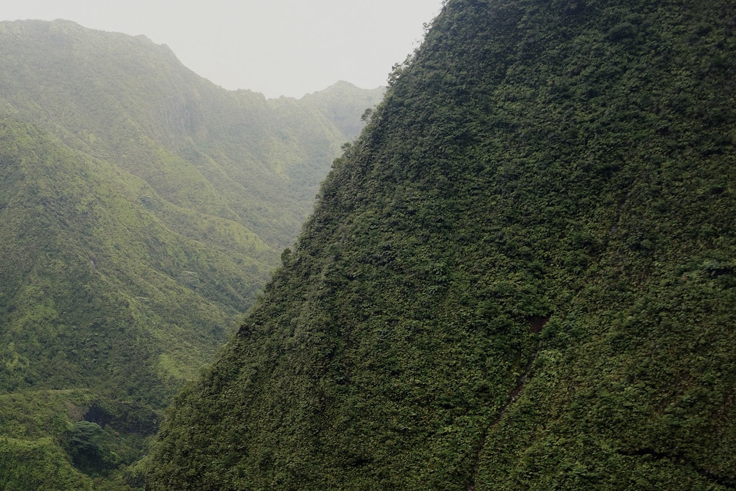 ESYM - Product Feel Image